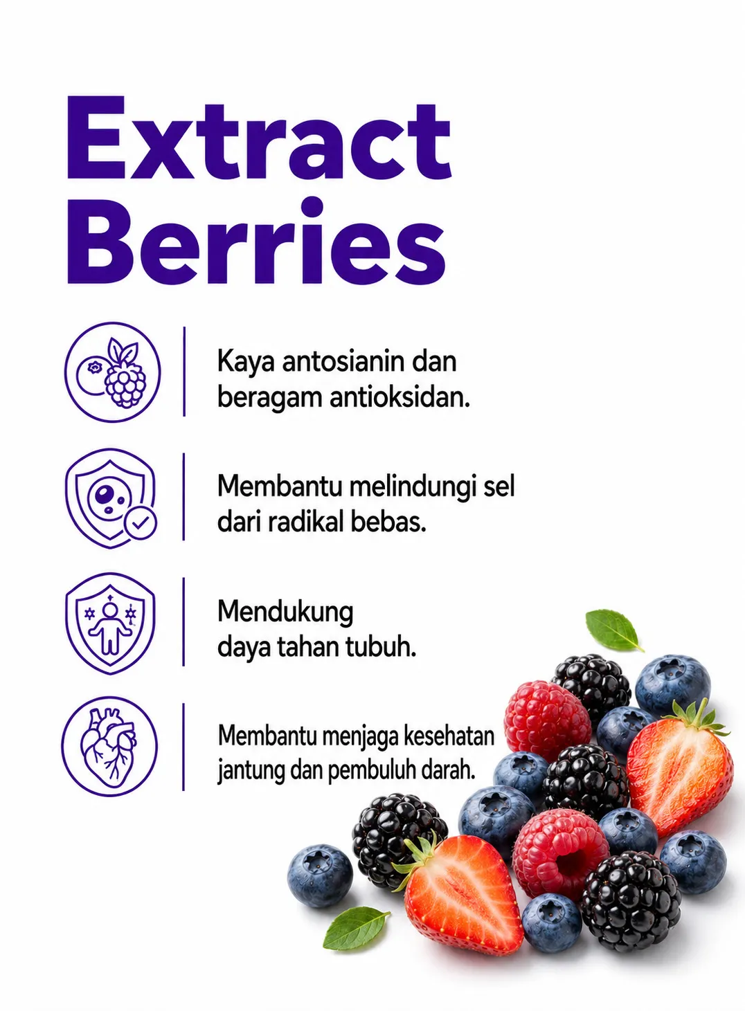 Kandungan premium SOP Dayli 13 dari 20