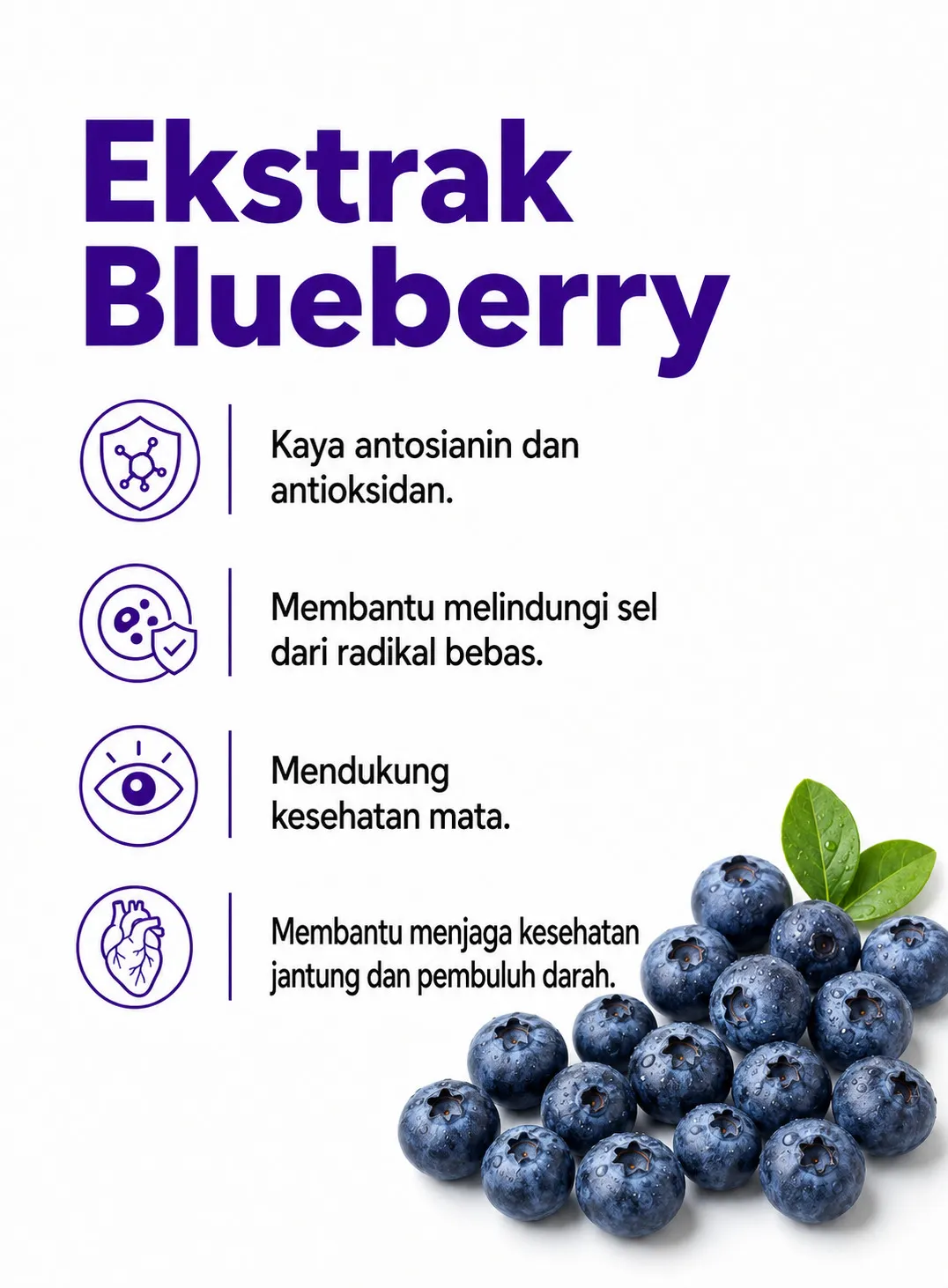 Kandungan premium SOP Dayli 4 dari 20